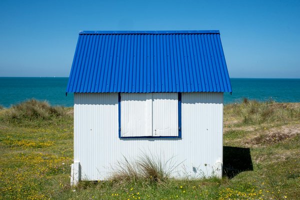 Quels sont les conseils pour un camping en région de savane avec observation des lions?
